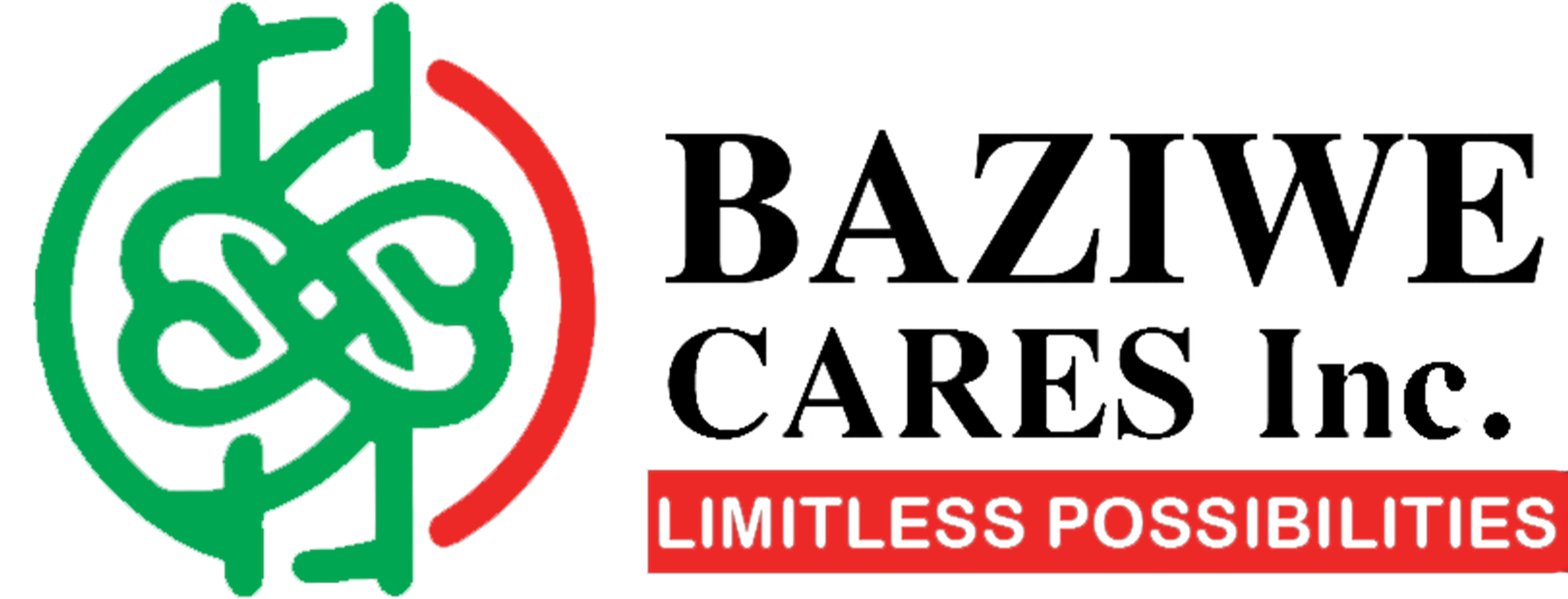 Baziwe Cares Inc logo